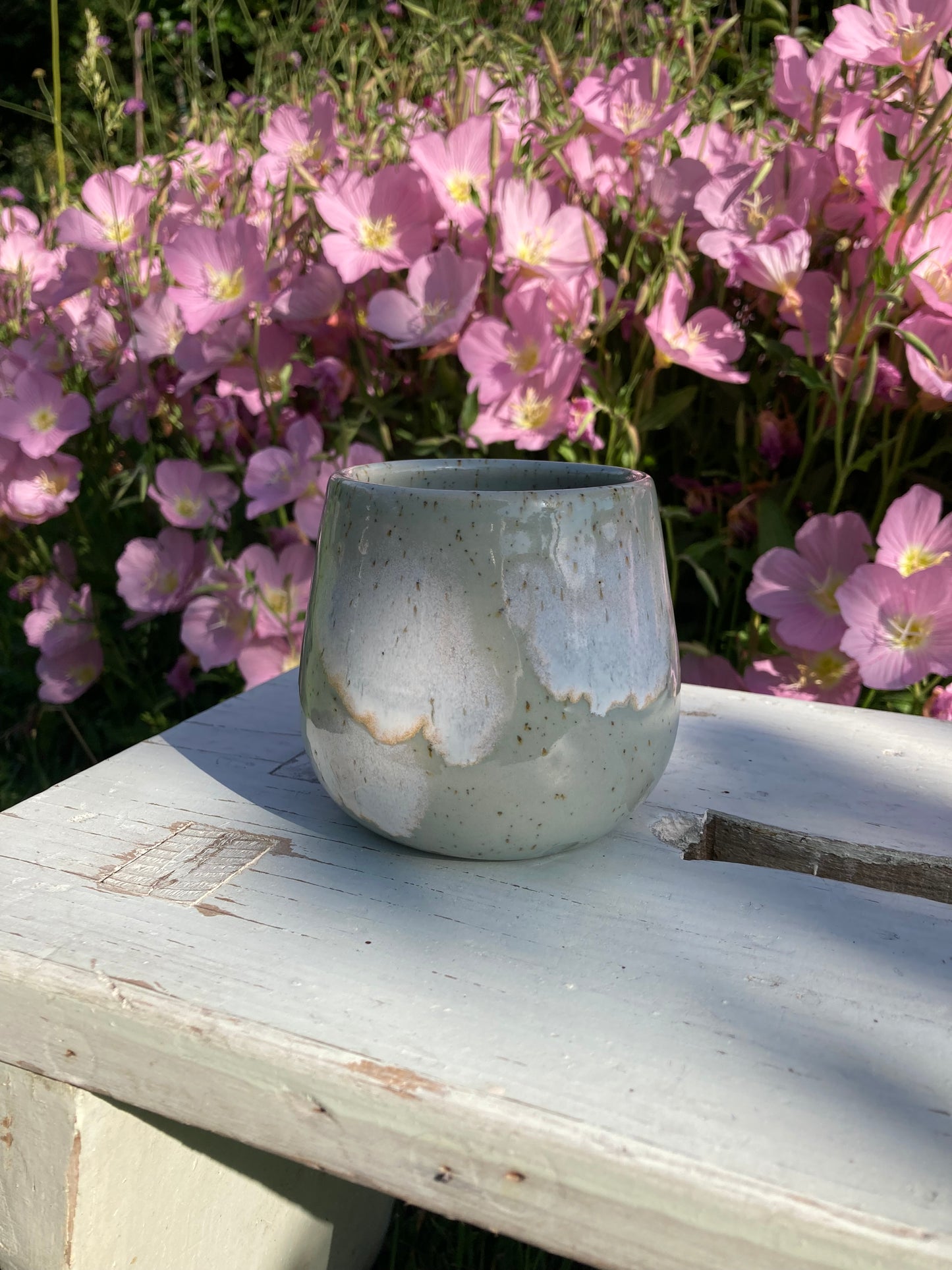 Cup Summer Sky