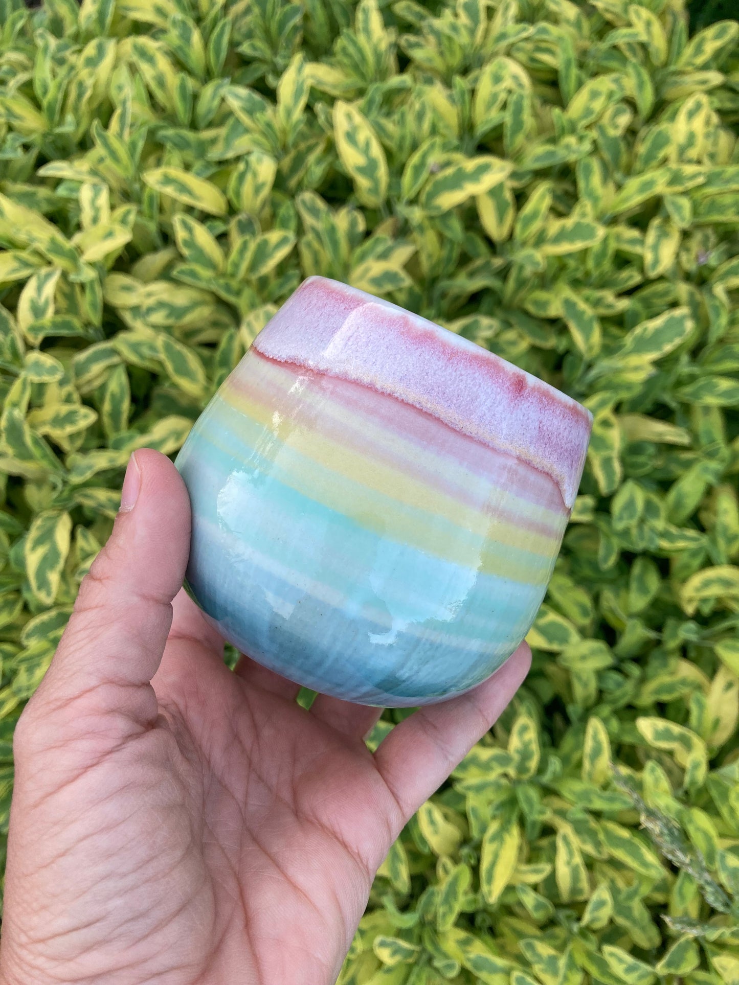 Cup Full Bloom