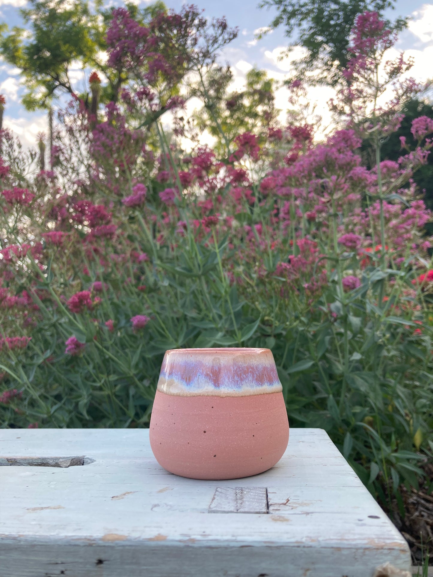 Cup Flamingo