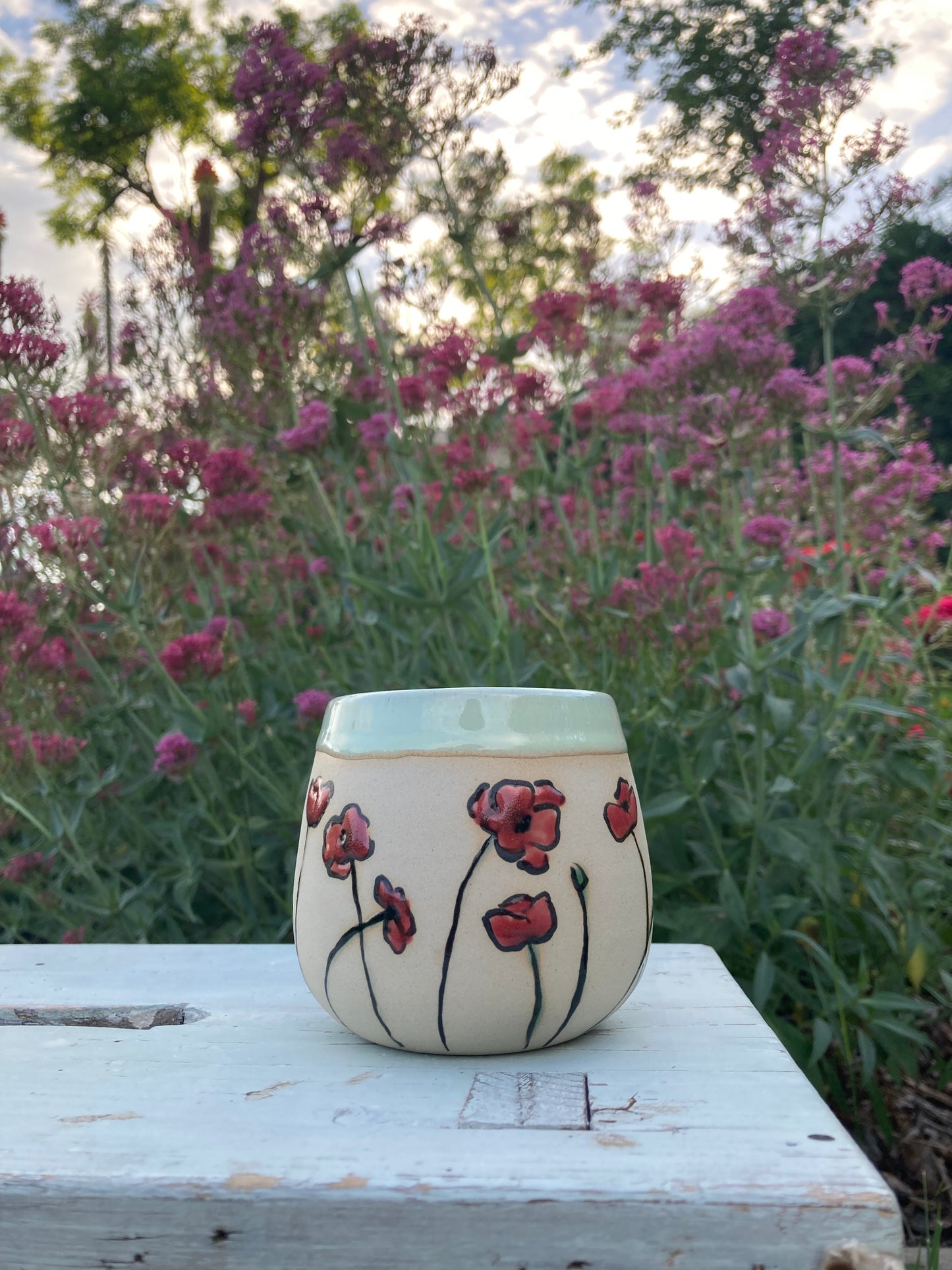Cup Poppy