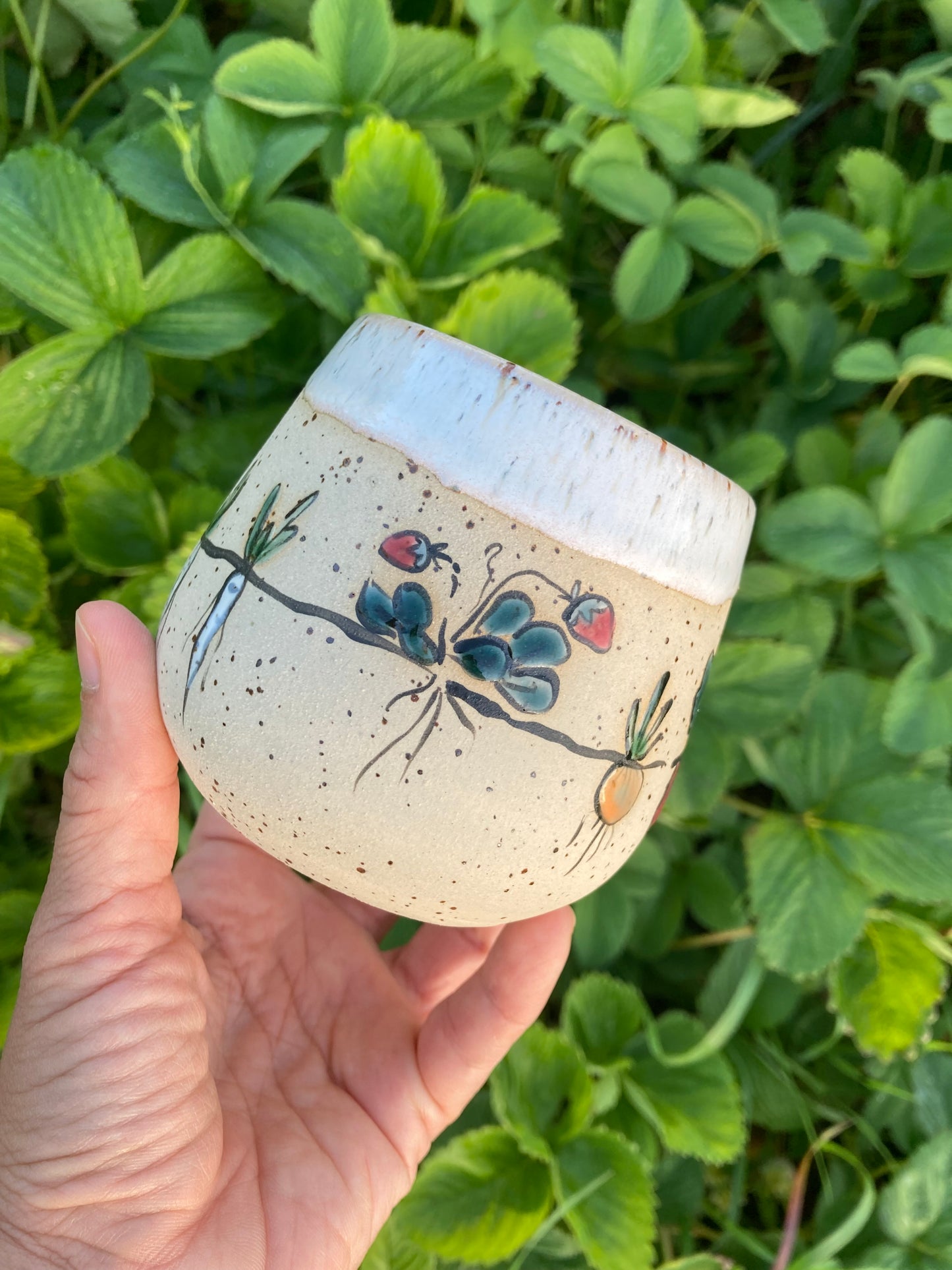 Cup Summer Garden