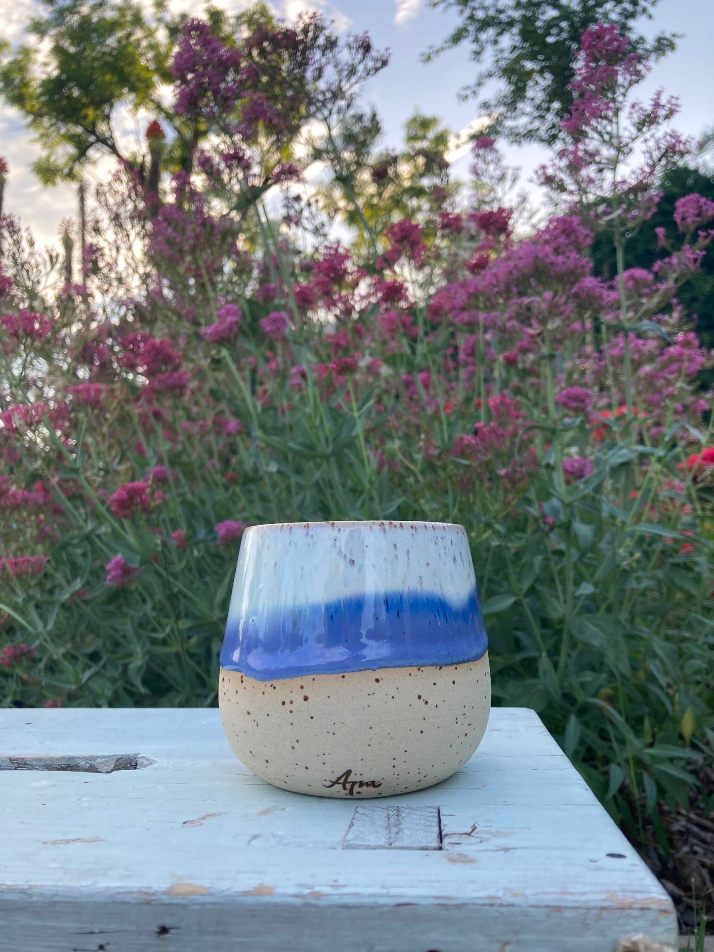 Apa Cup Alaska