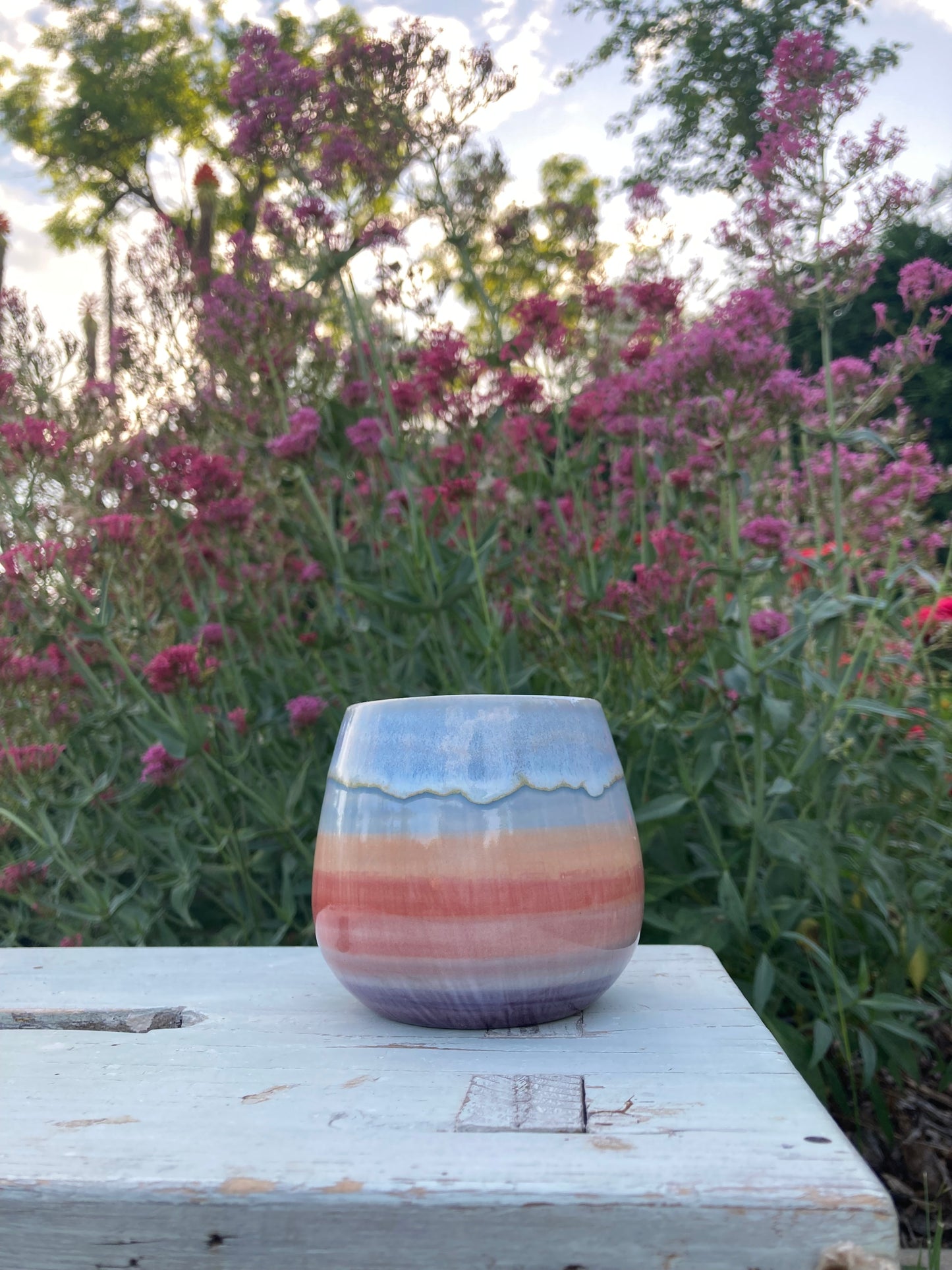 Cup Sunrise