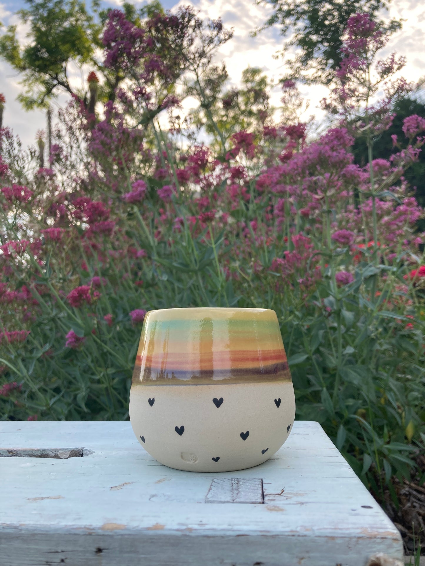 Cup Tropical Rainbow