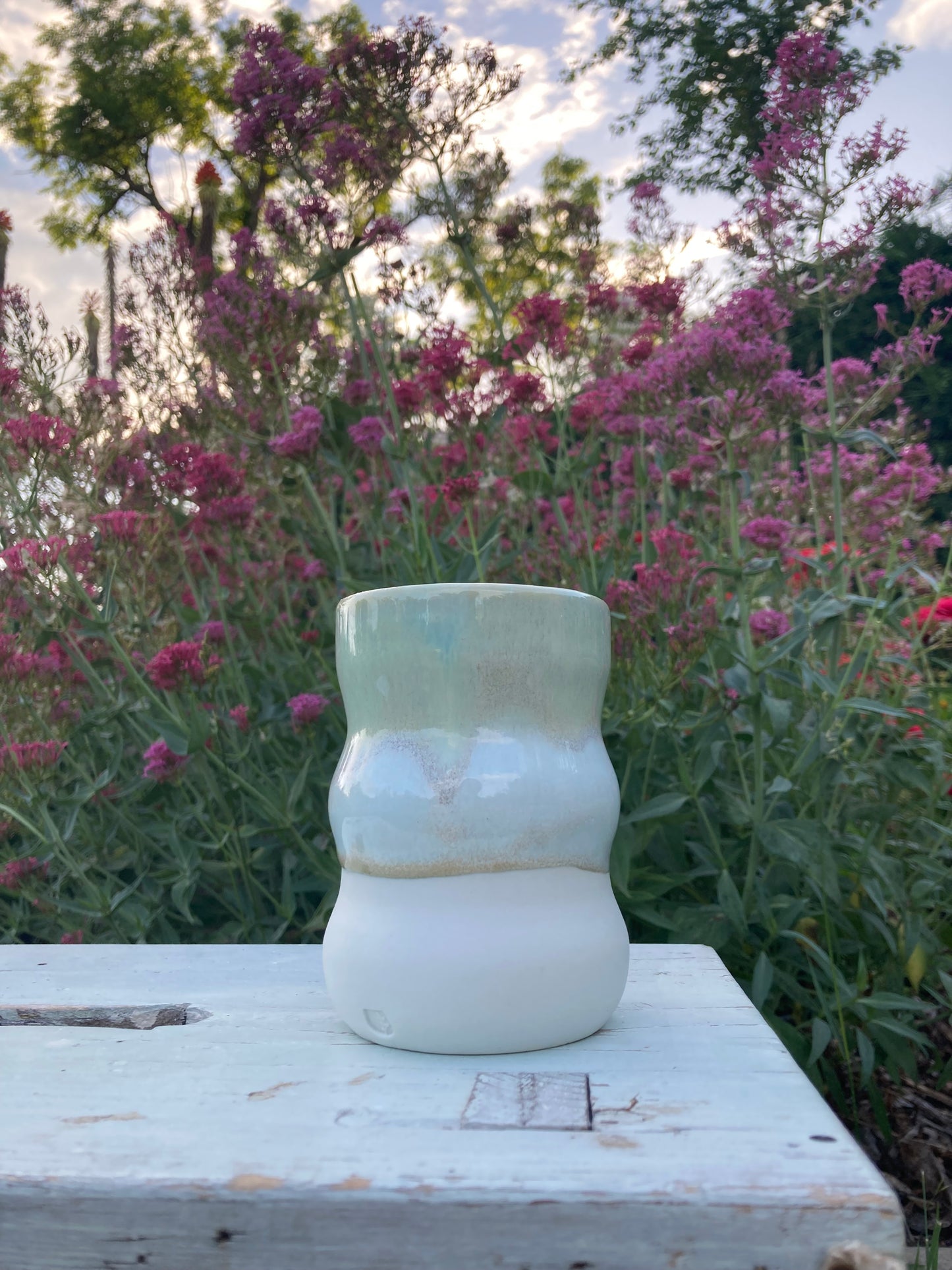 Wavy Cup Alps