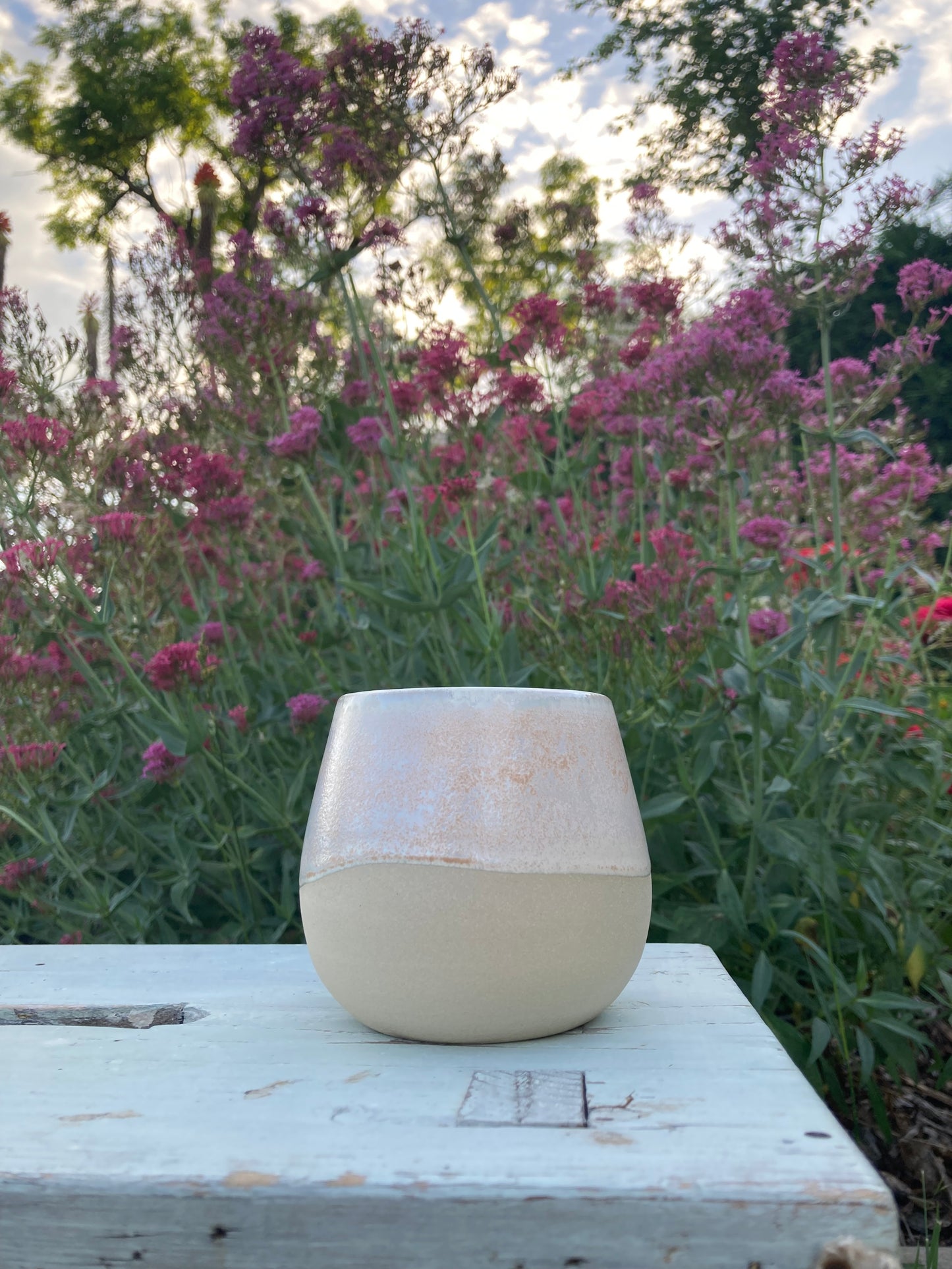 Cup Pearl