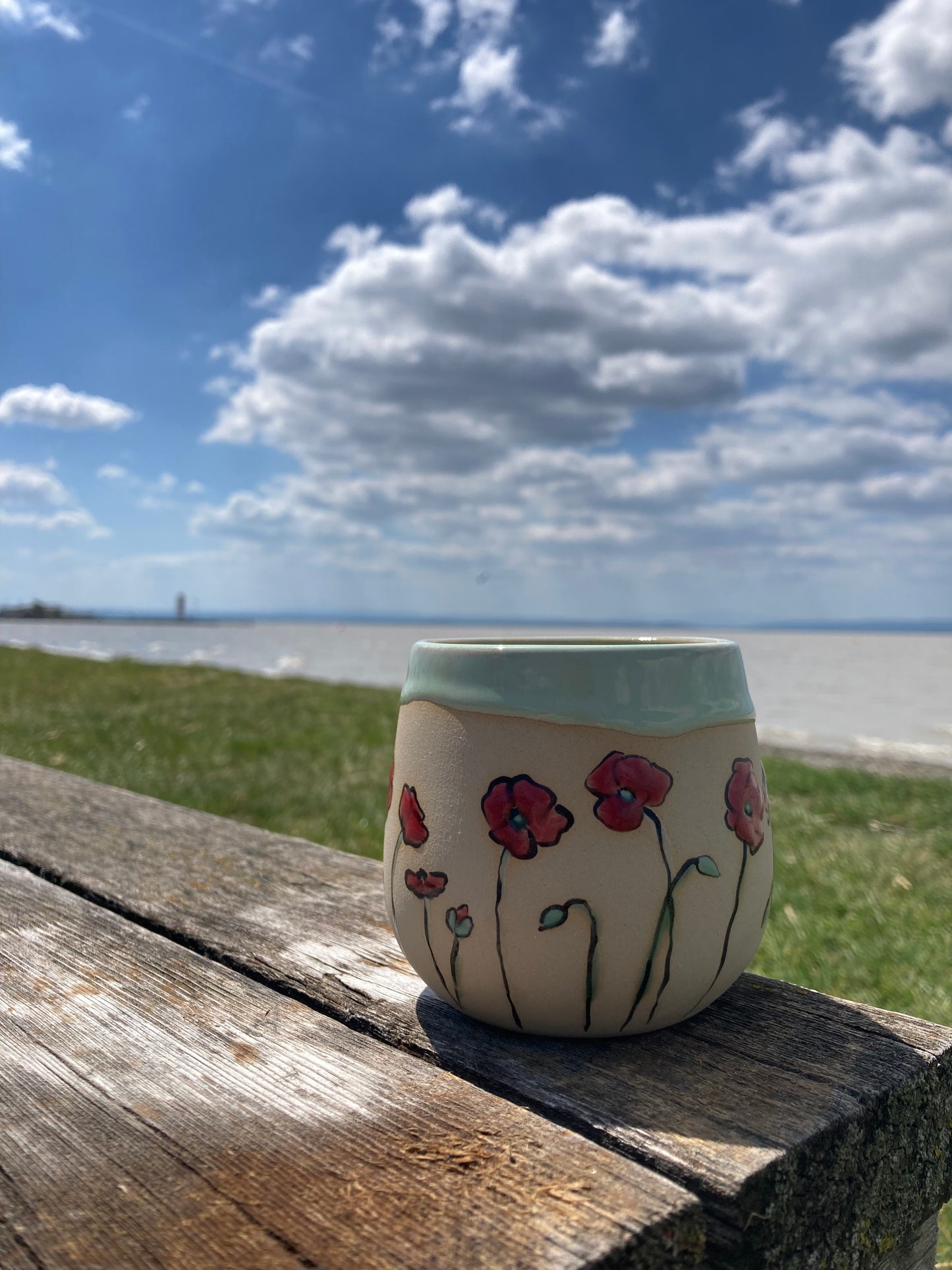 Cup Poppy