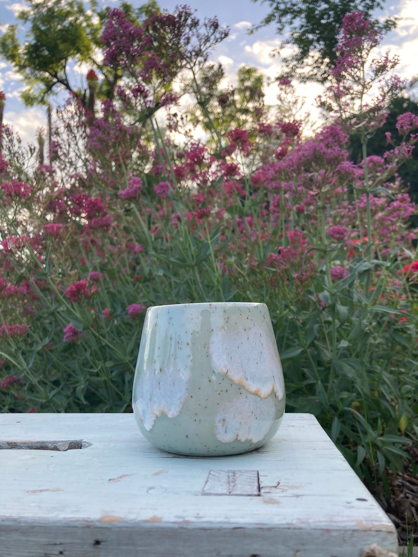 Cup Summer Sky